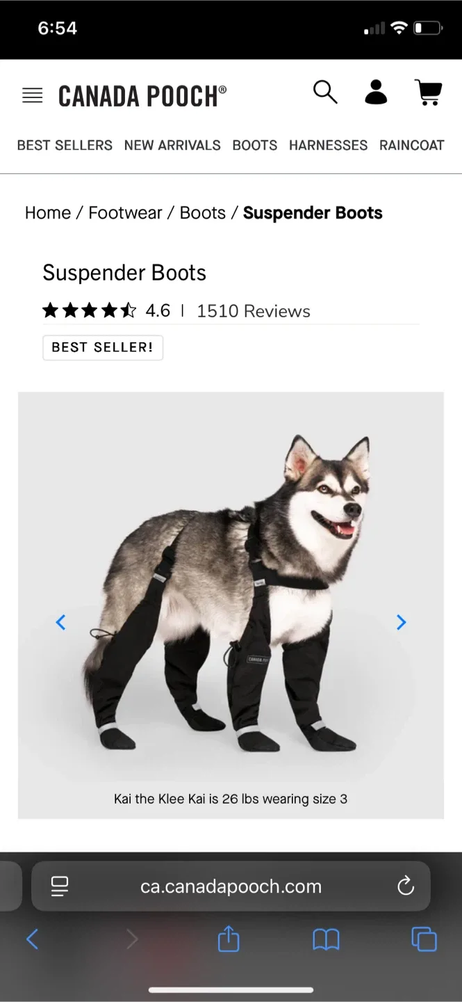 Canada Pooch Suspenders Dog Boots - Size 4