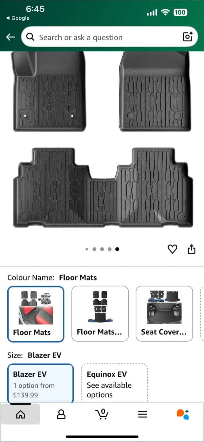 Winter mats for car