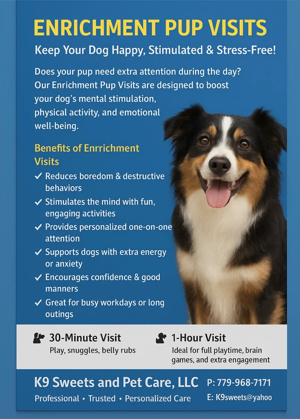 Enrichment Pup Visits | Licensed & Insured