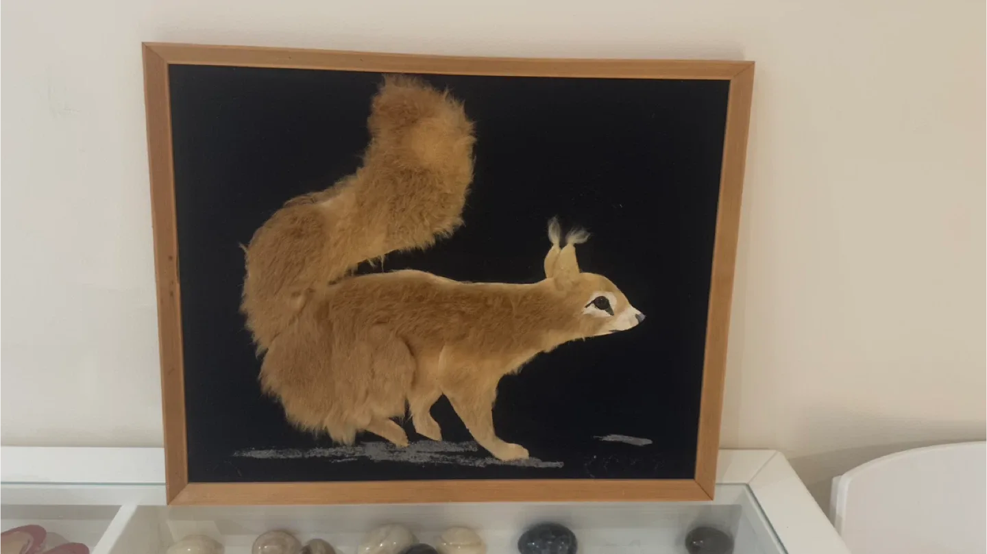 Framed Squirrel Taxidermy Art