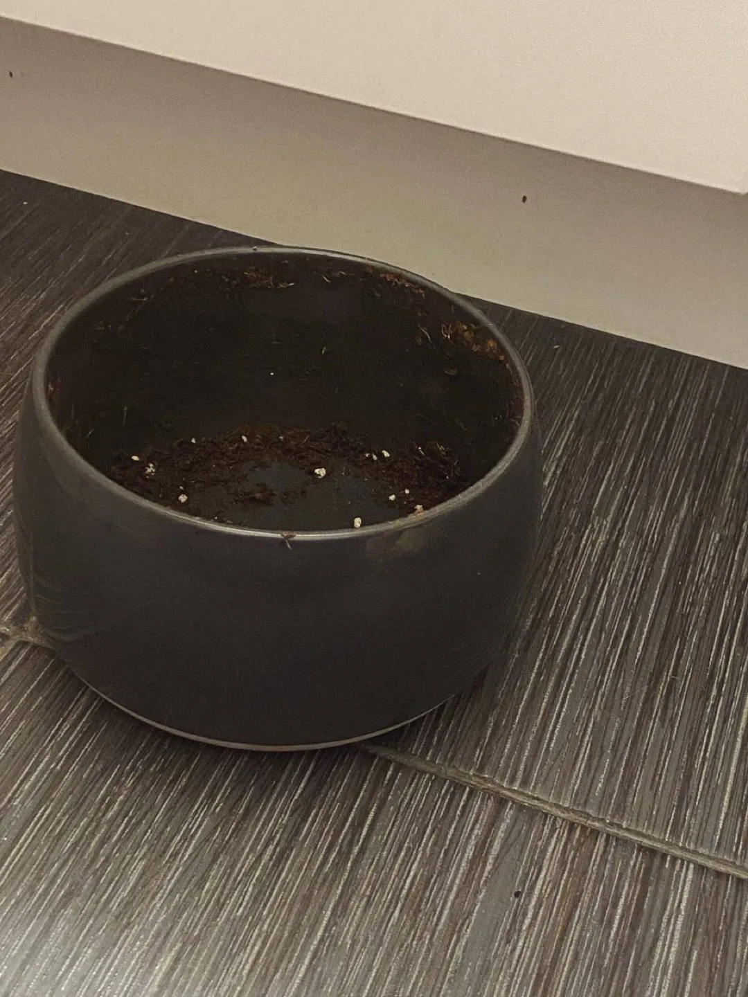 Grey Indoor Plant Pot