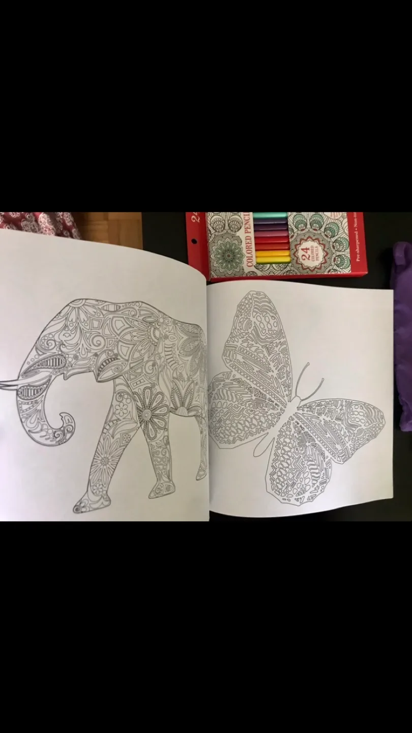 Coloring Book + 24 Pack Color Pencils image indicator(3)