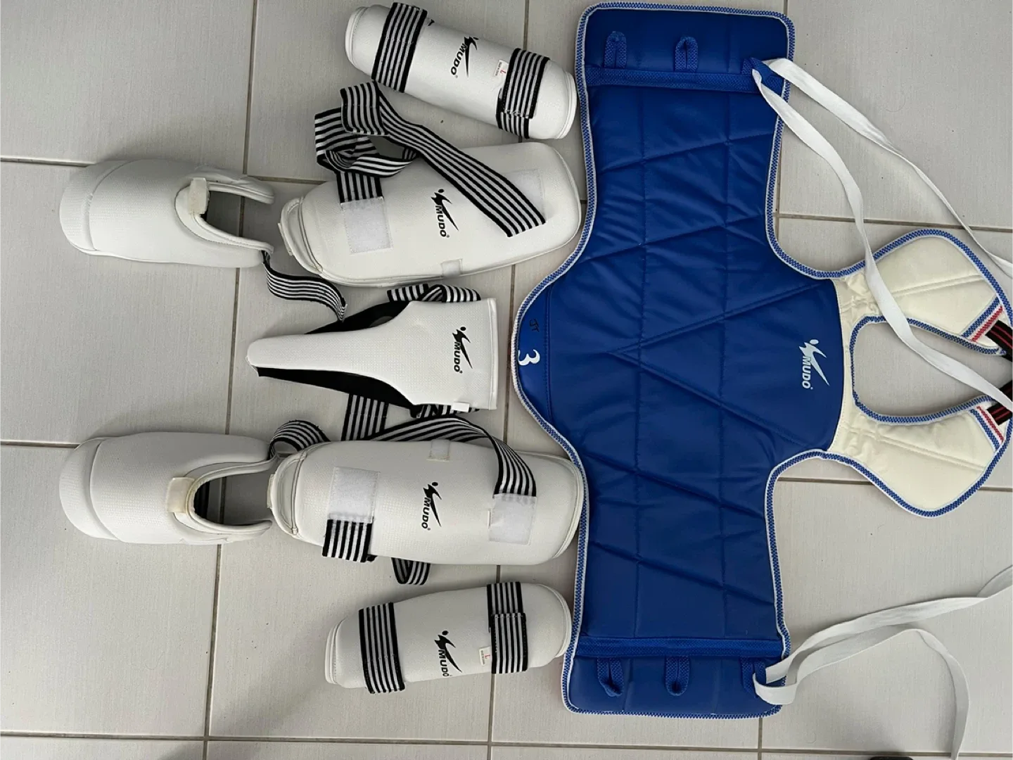 Mudo Taekwondo Sparring Gear Set image indicator(2)