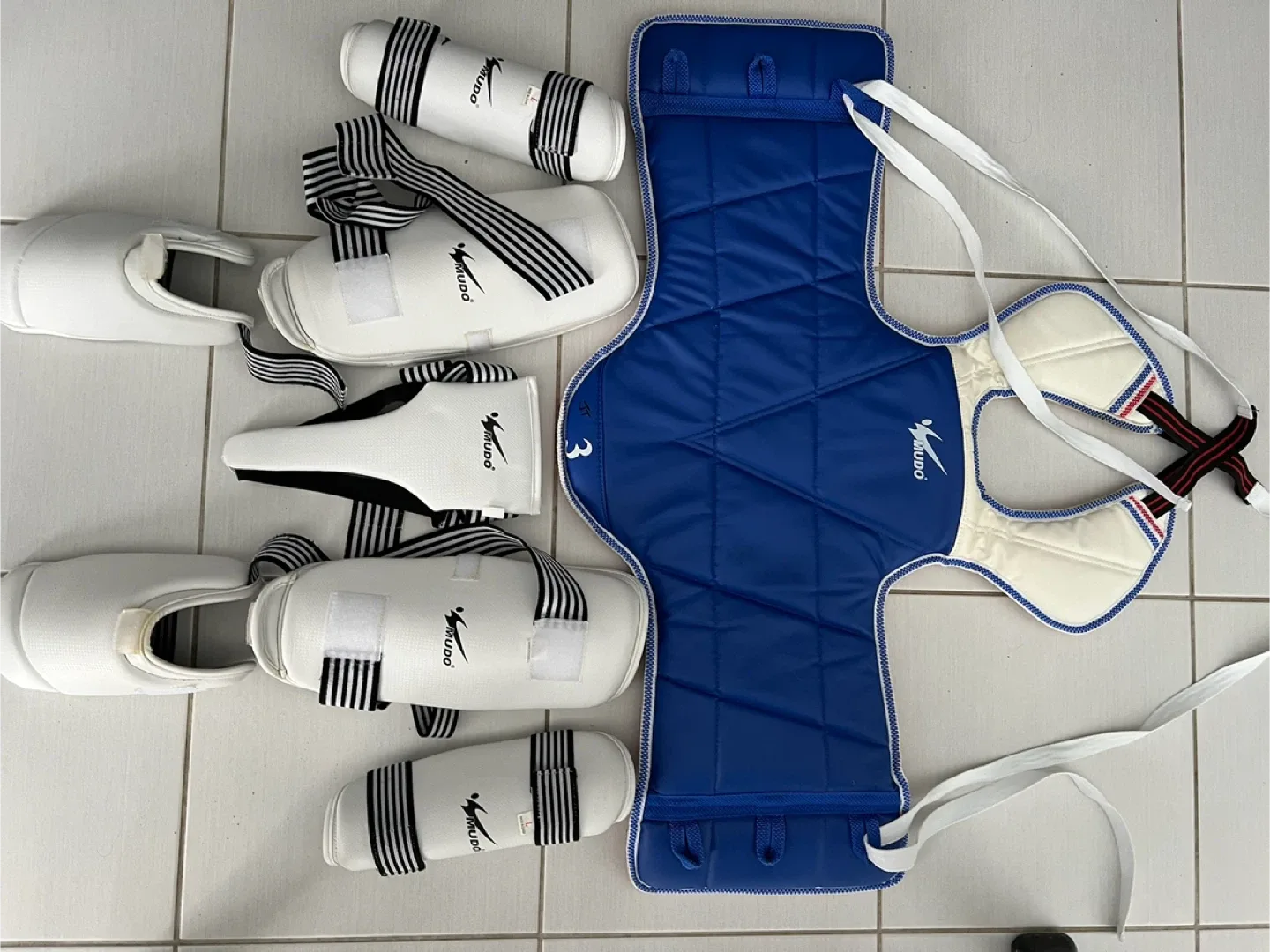 Mudo Taekwondo Sparring Gear Set image indicator(4)