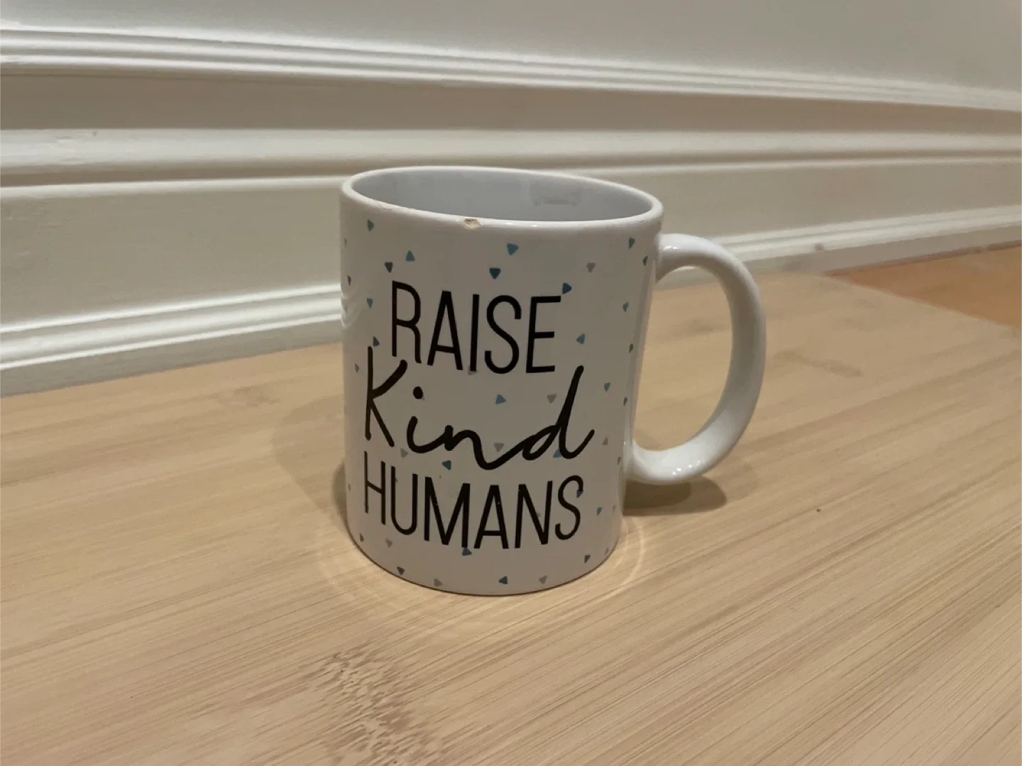Raise Kind Humans Mug