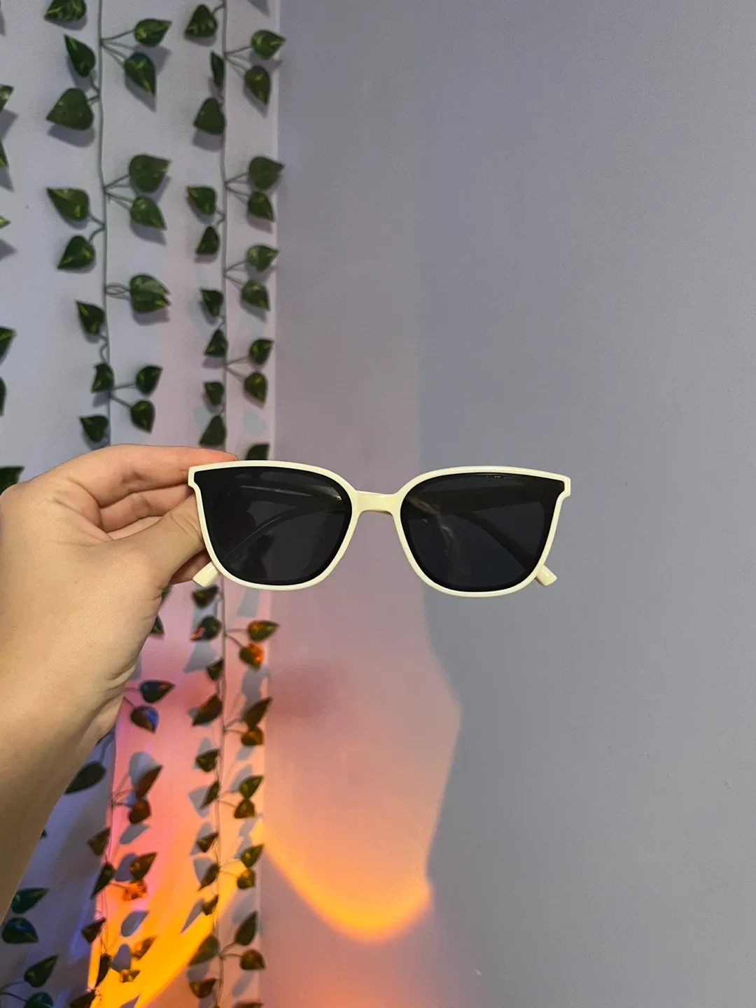 Minisolife Cream Sunglasses