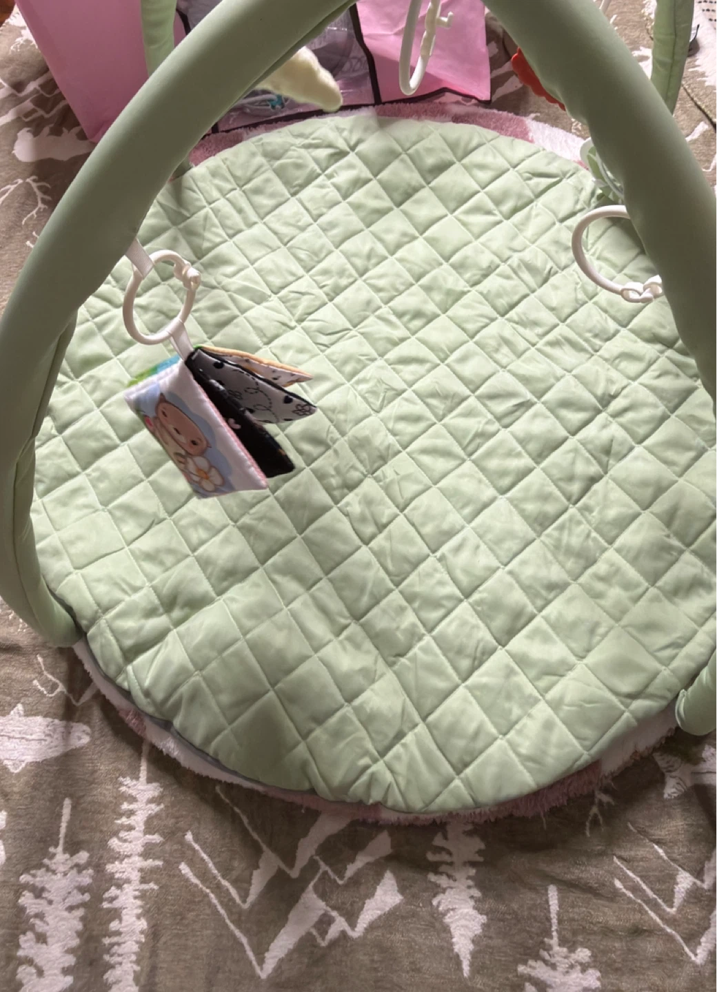 Baby Play Mat Activity Gym - photo 5