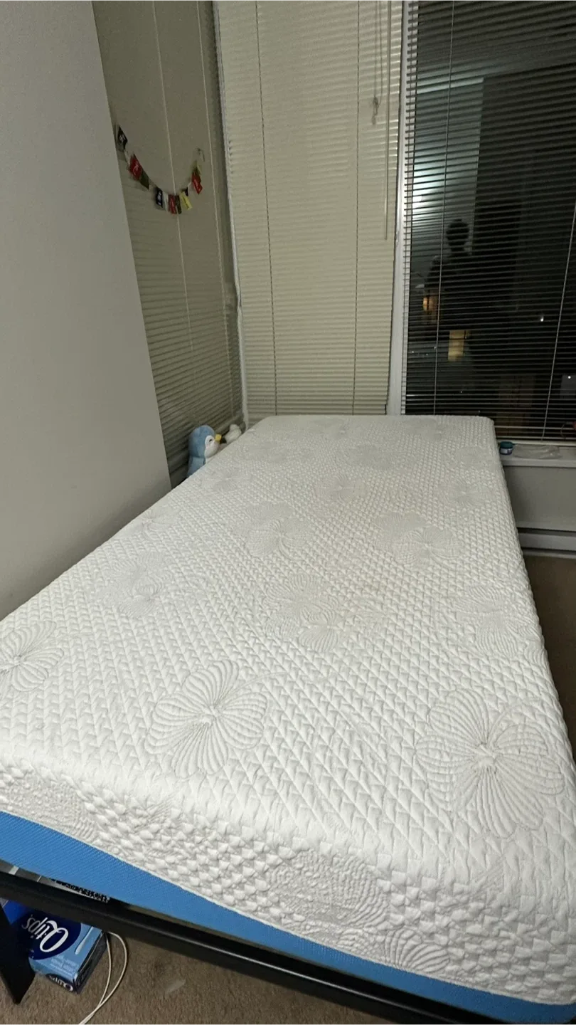 Olee Sleep Memory Foam Mattress