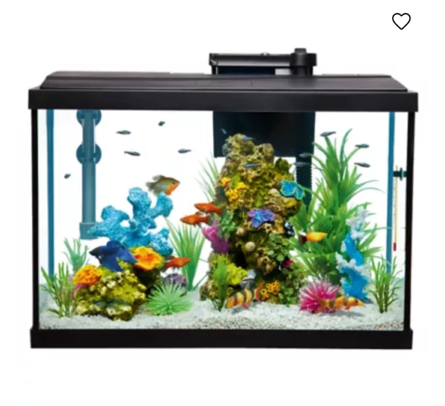 20 Gallon Fish Tank with Stand