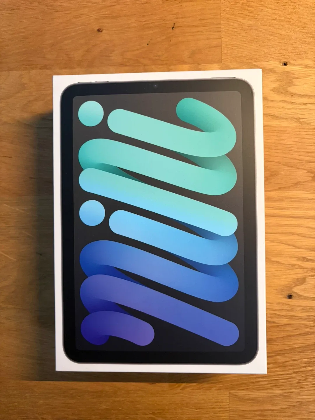 Apple iPad mini (6th Gen) 64GB Space Gray - New!