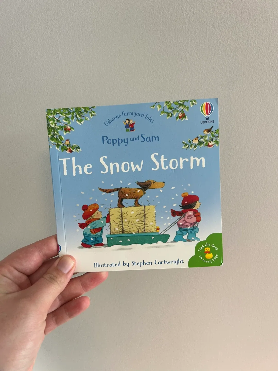 The Snow Storm - Usborne Farmyard Tales