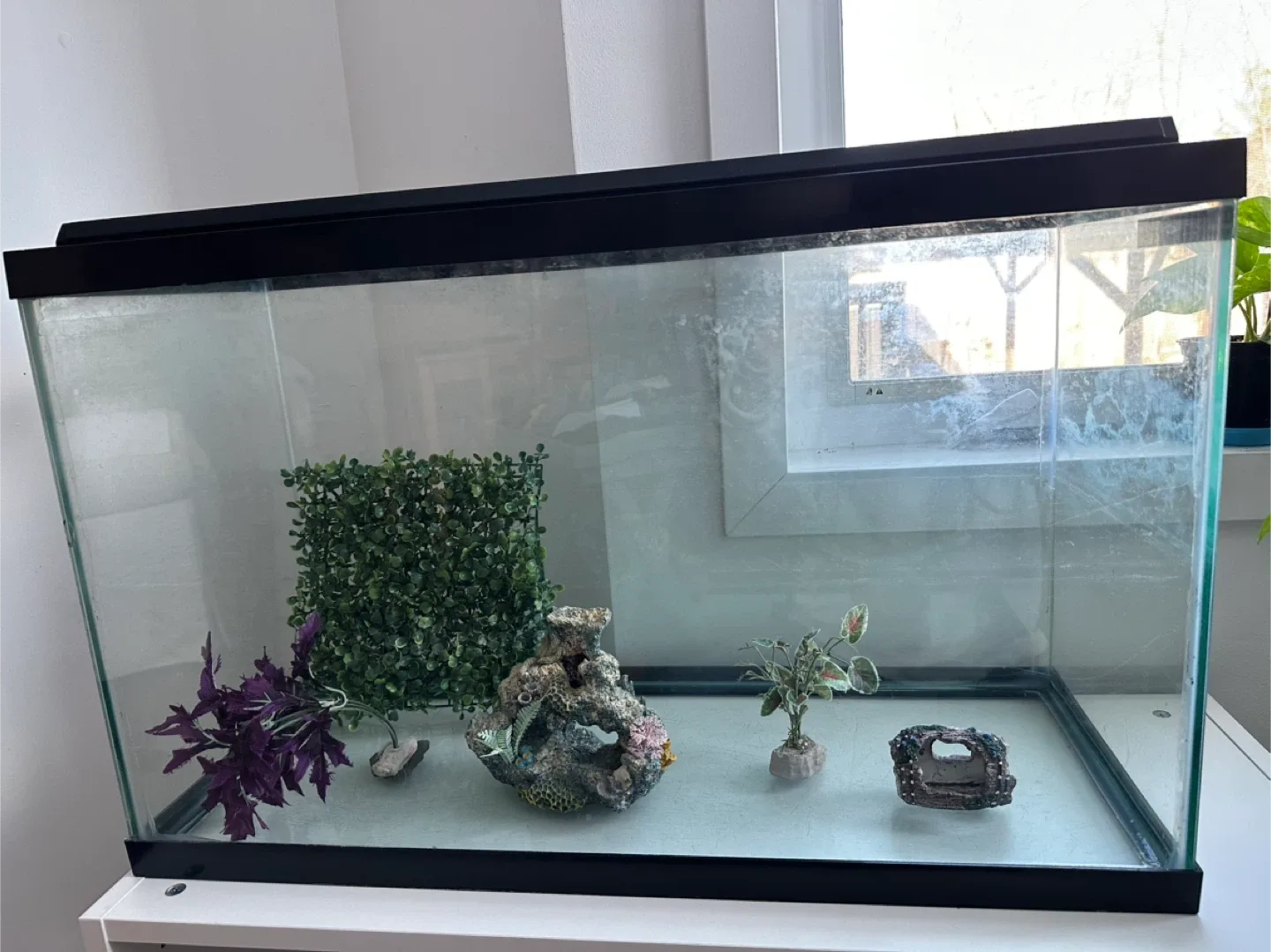 Fish Tank, decor,Gravel Cleaner, and Tetra Goldfish Food