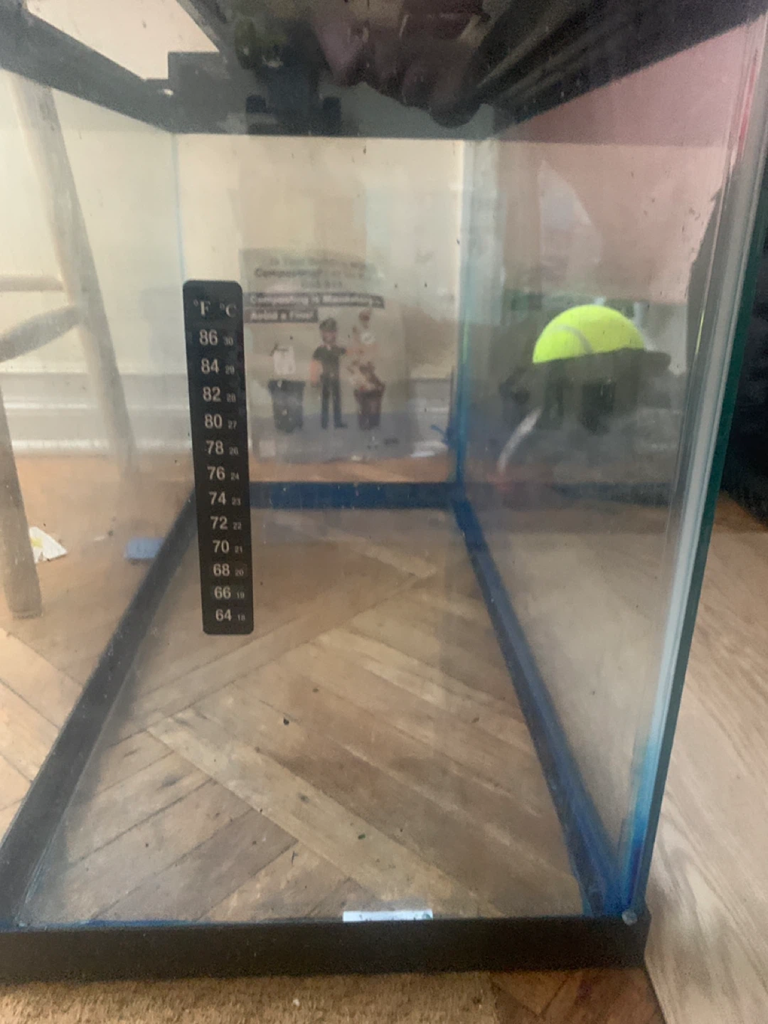 Used Fish Tank - photo 3