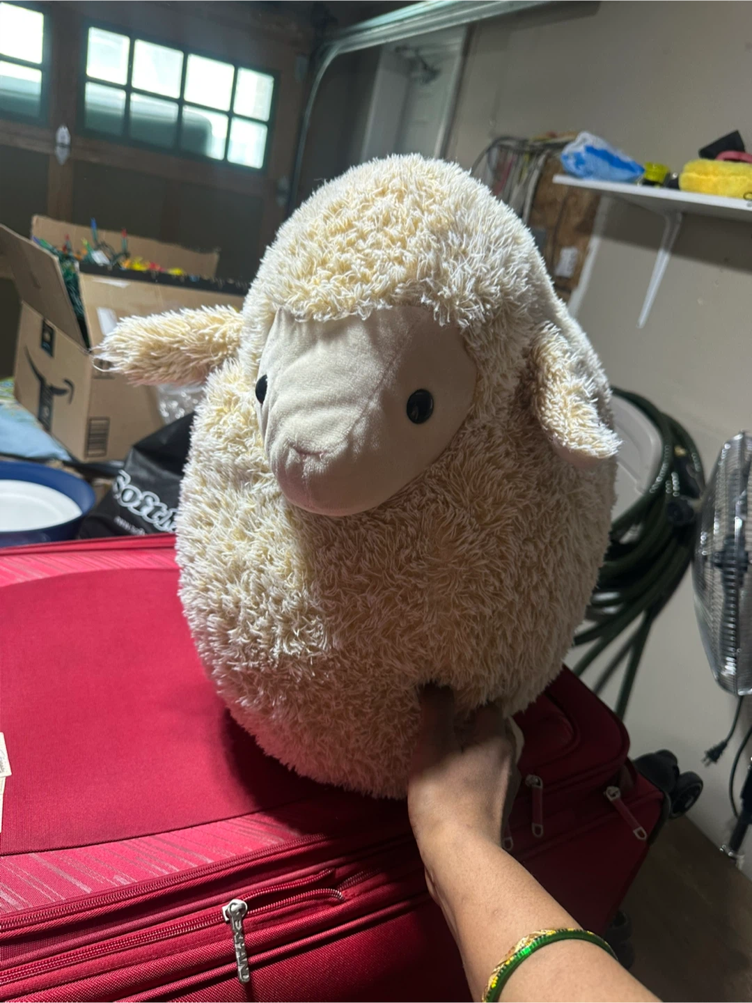 Cute Sheep Plush Toy