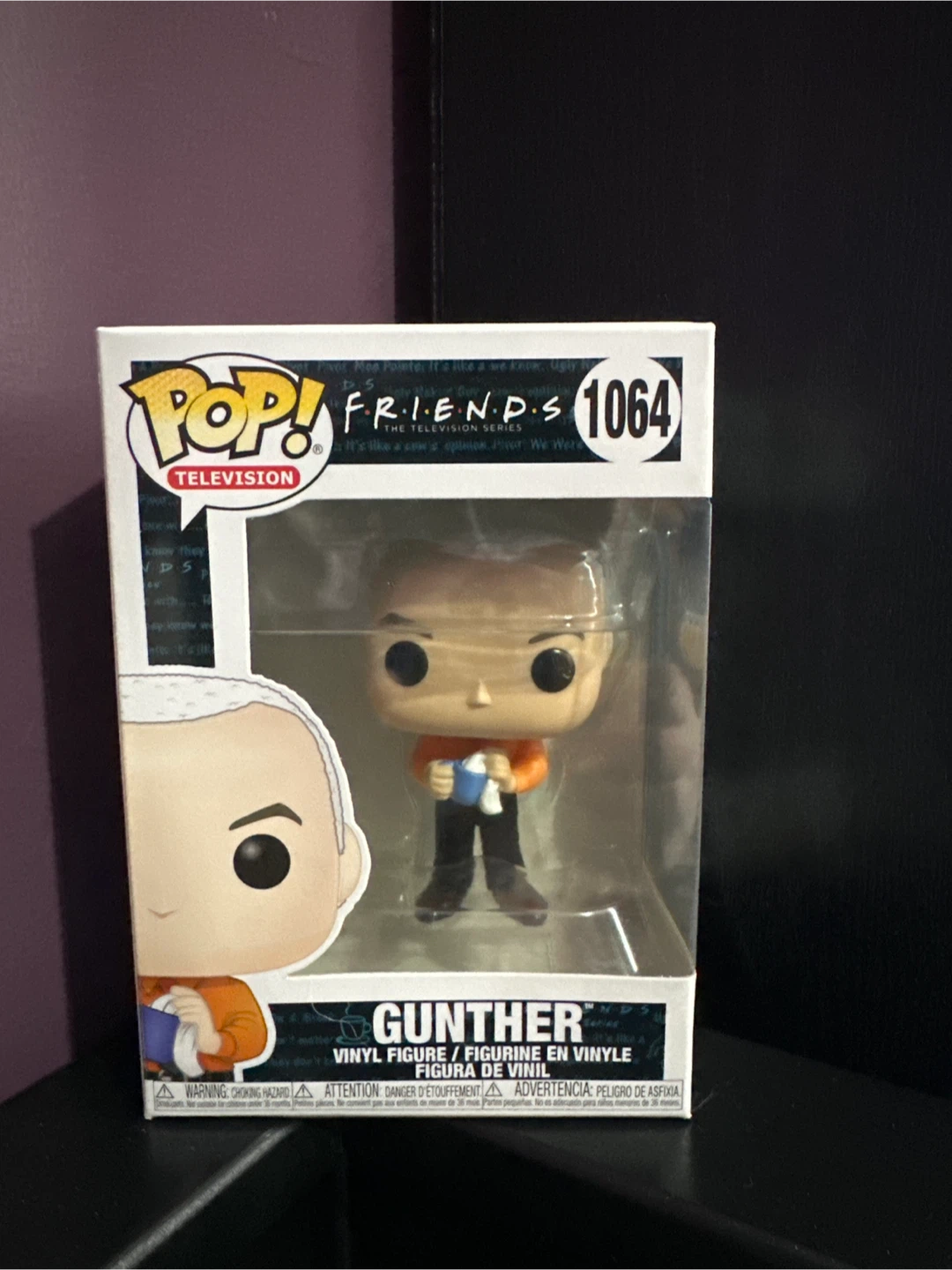 New Pop! Friends Gunther Vinyl Figure