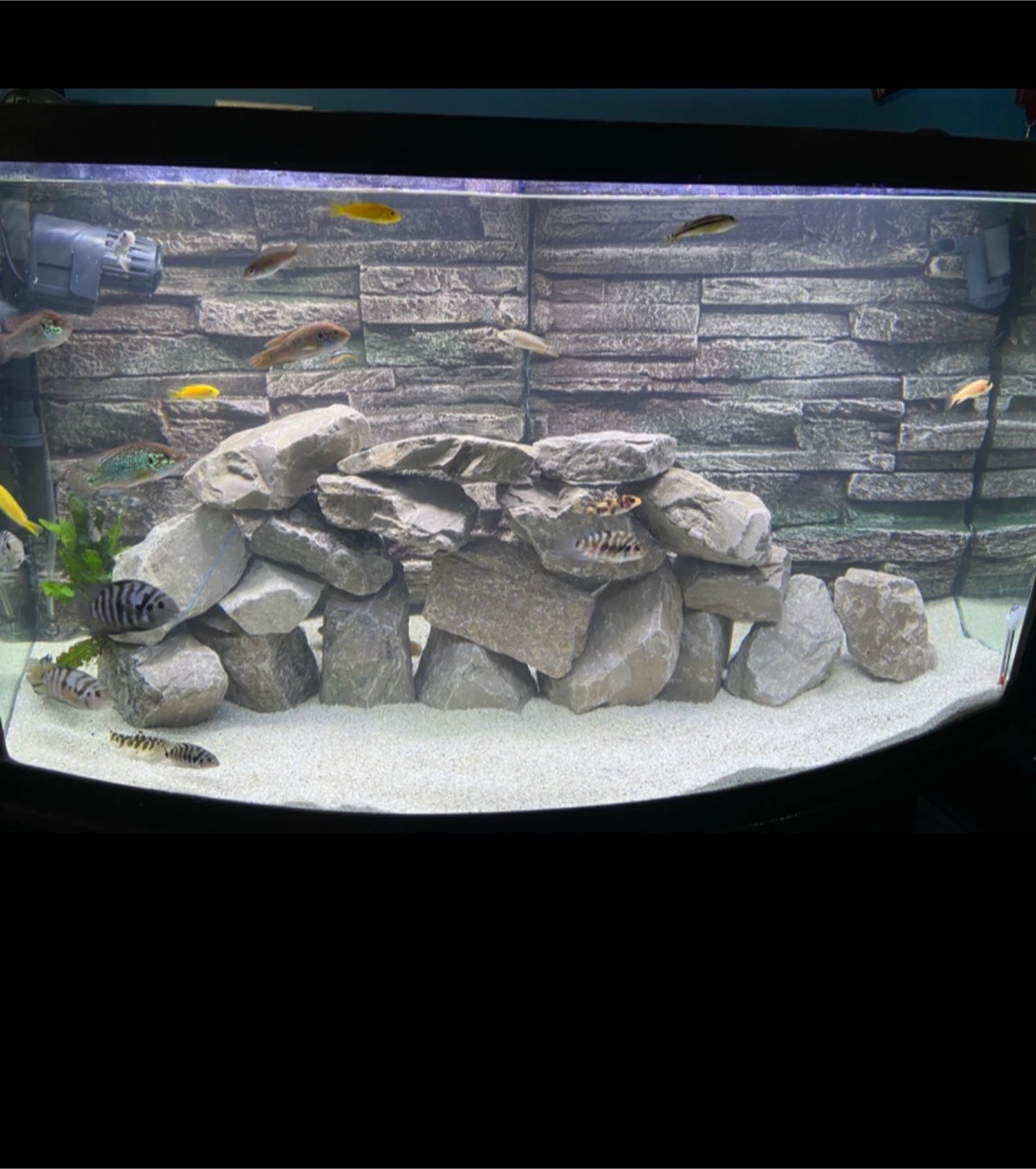 Aquarium and Stand - photo 2