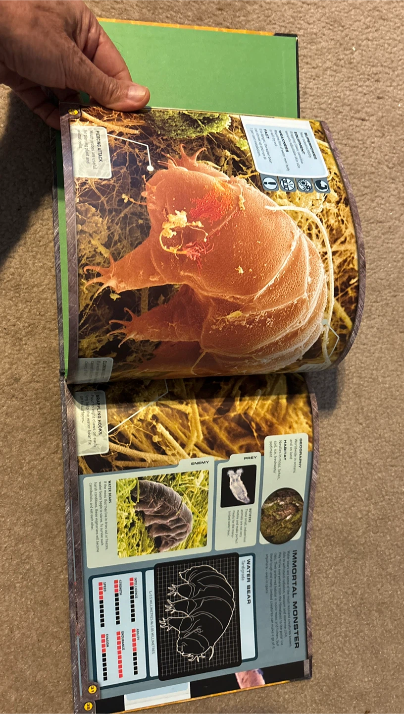 Micro Monsters: Extreme Encounters Book - photo 5