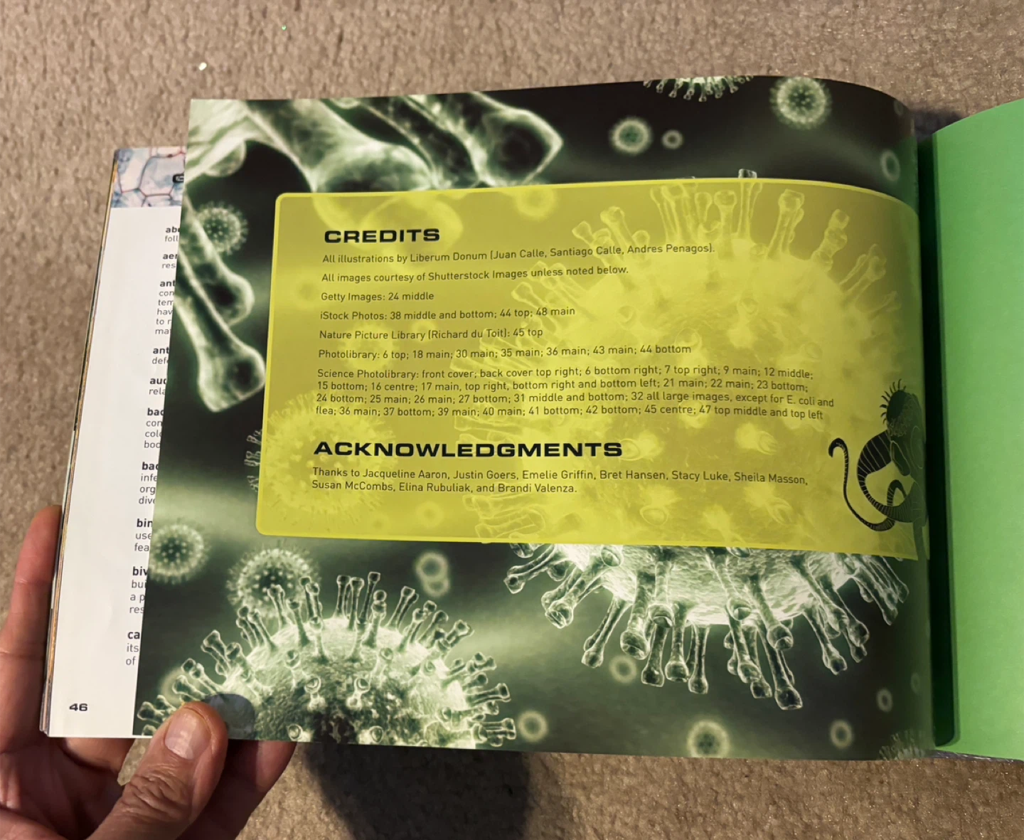 Micro Monsters: Extreme Encounters Book - photo 3