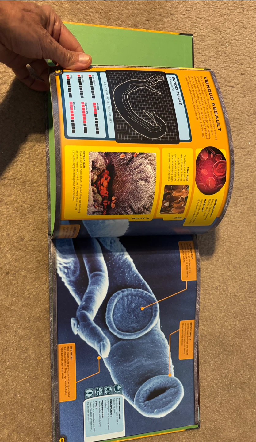 Micro Monsters: Extreme Encounters Book - photo 4