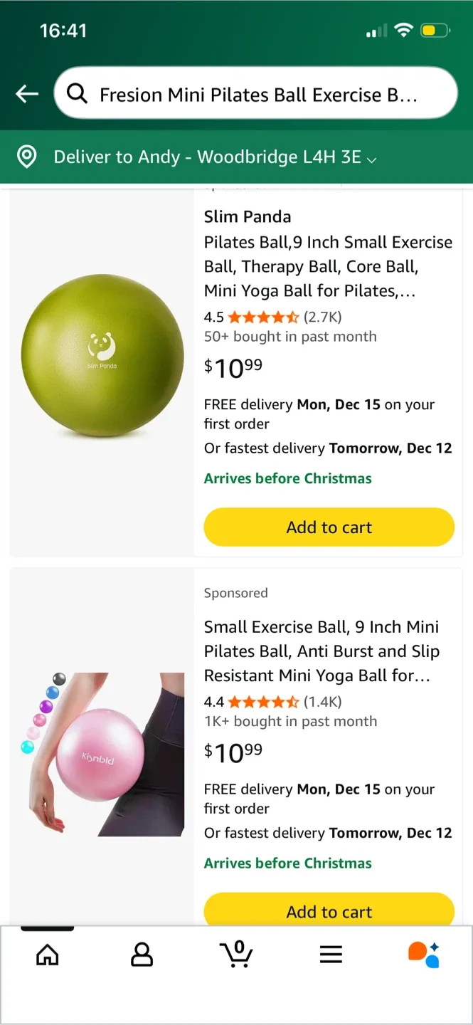 Slim Panda 9 Inch Pilates Ball