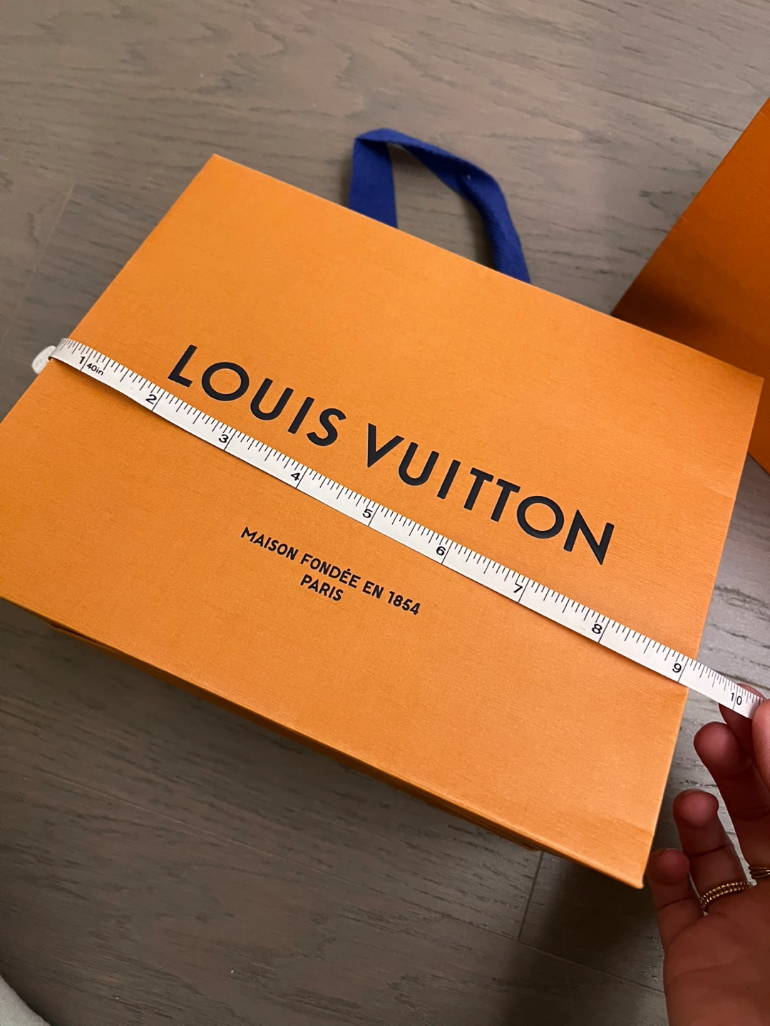 Louis Vuitton Gift Bags - photo 2