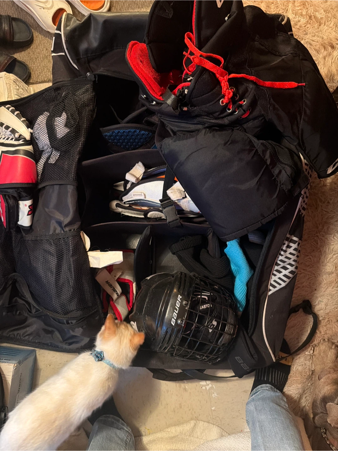 Hockey Gear Set: CCM, Bauer, TPS