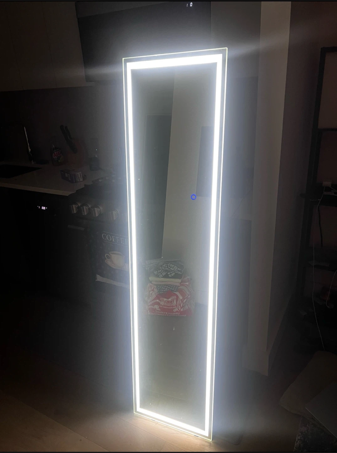 Full Length LED Mirror