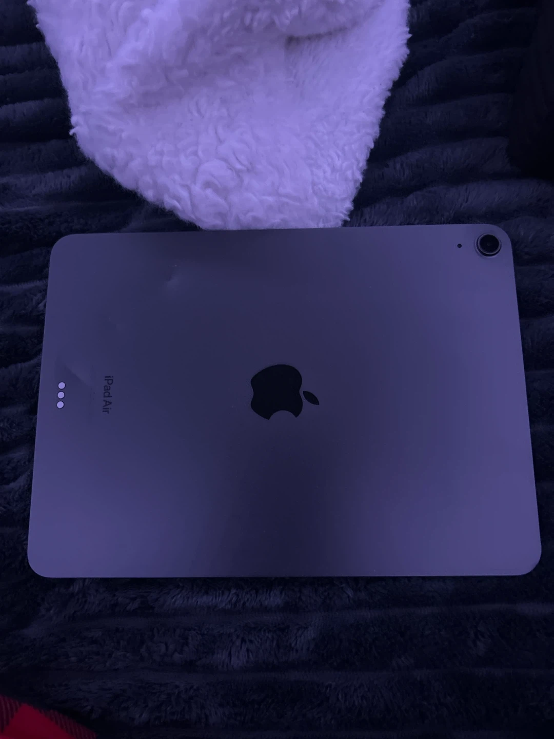 Apple iPad Air with Case - photo 5