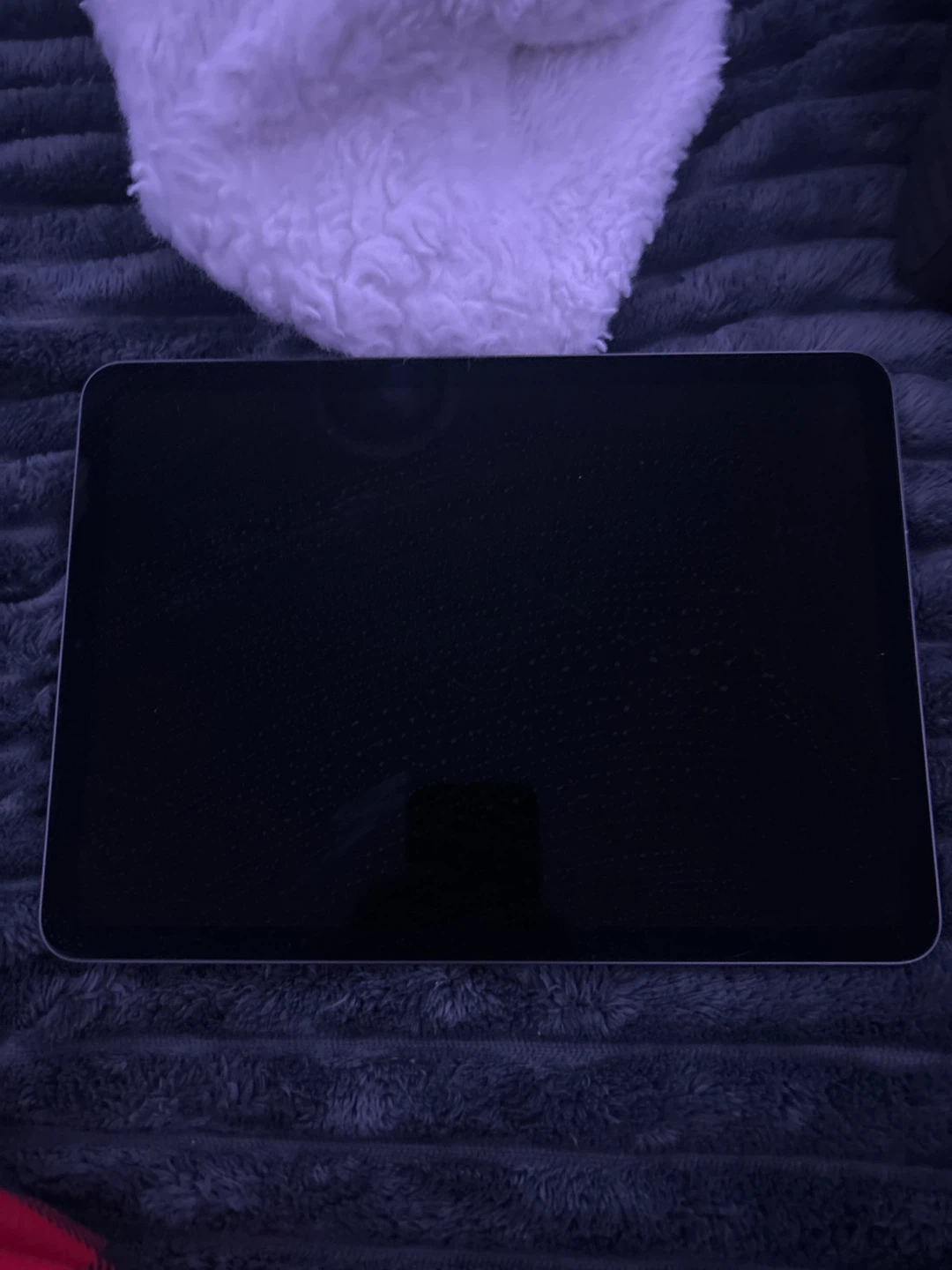 Apple iPad Air with Case