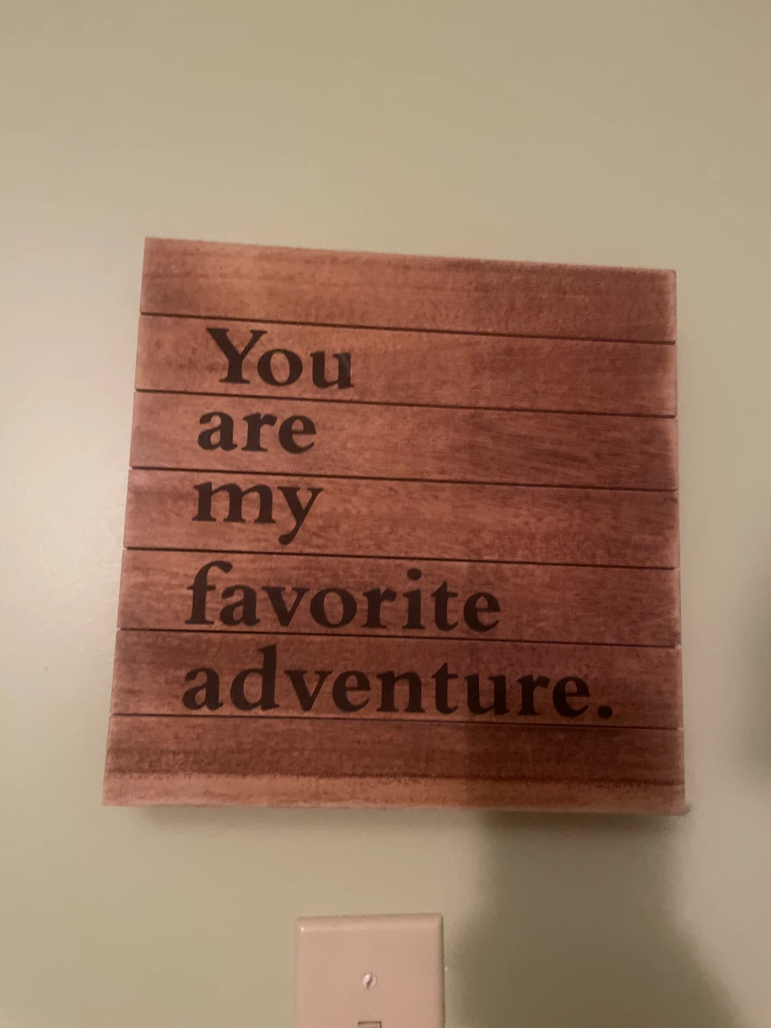 Wood Sign - You are my favorite adventure