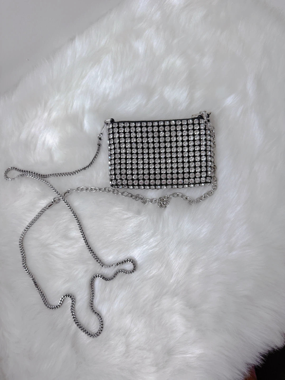 Alexander Wang Rhinestone Pouch