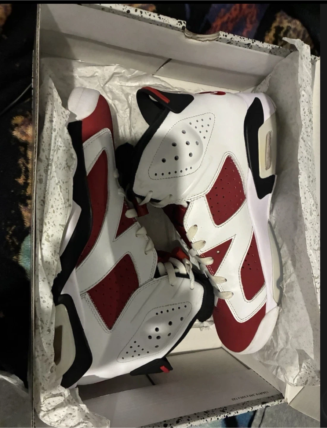 Nike Air Jordan 6 Retro Carmine (2021)