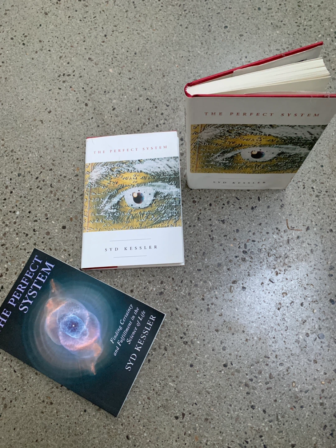 The Perfect System by Syd Kessler