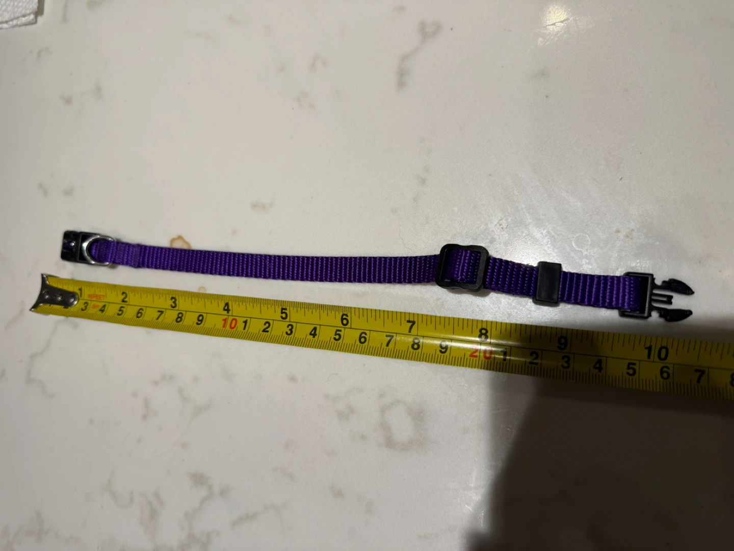 Jump Purple Cat Collar - Adjustable - photo 2
