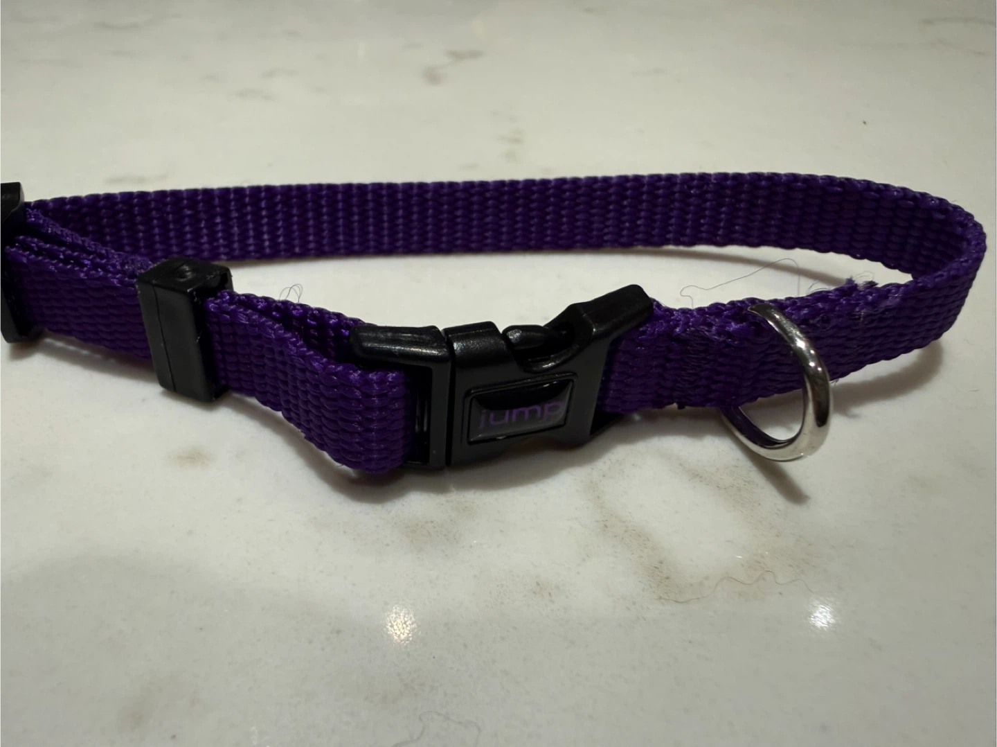 Jump Purple Cat Collar - Adjustable