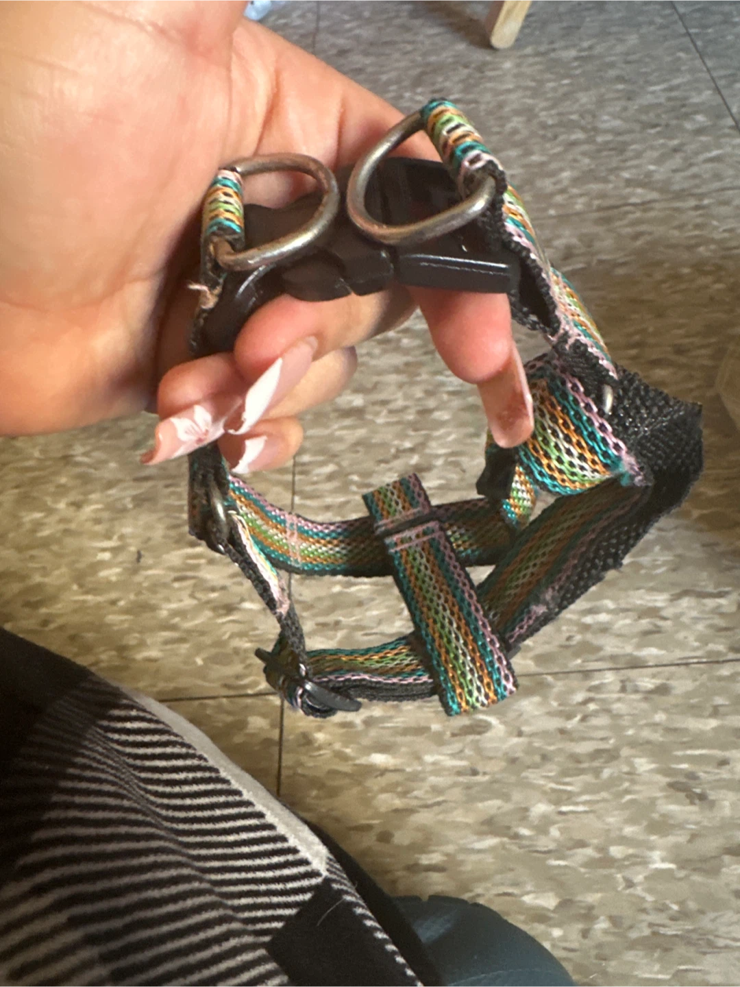 Dog Harness - Multicolor