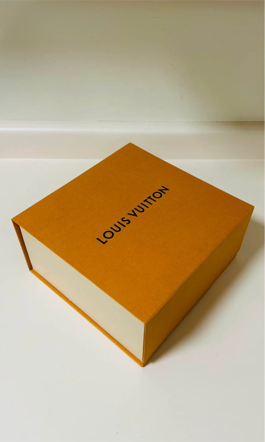 Louis Vuitton medium Box & Bag - photo 3
