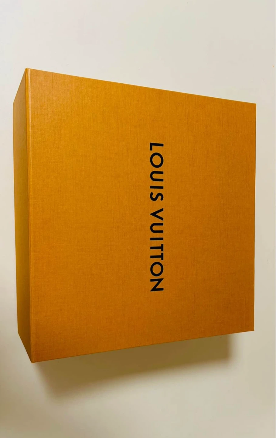 Louis Vuitton medium Box & Bag - photo 2