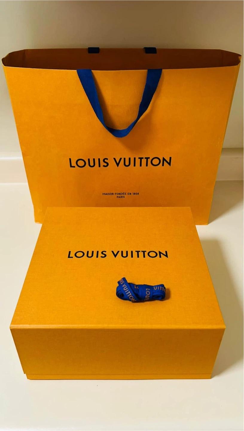 Louis Vuitton medium Box & Bag