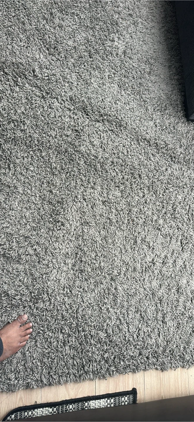 Grey Shag Rug 8x10