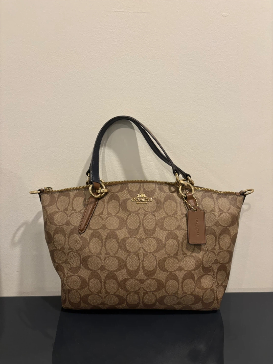 Coach Signature Dome Satchel