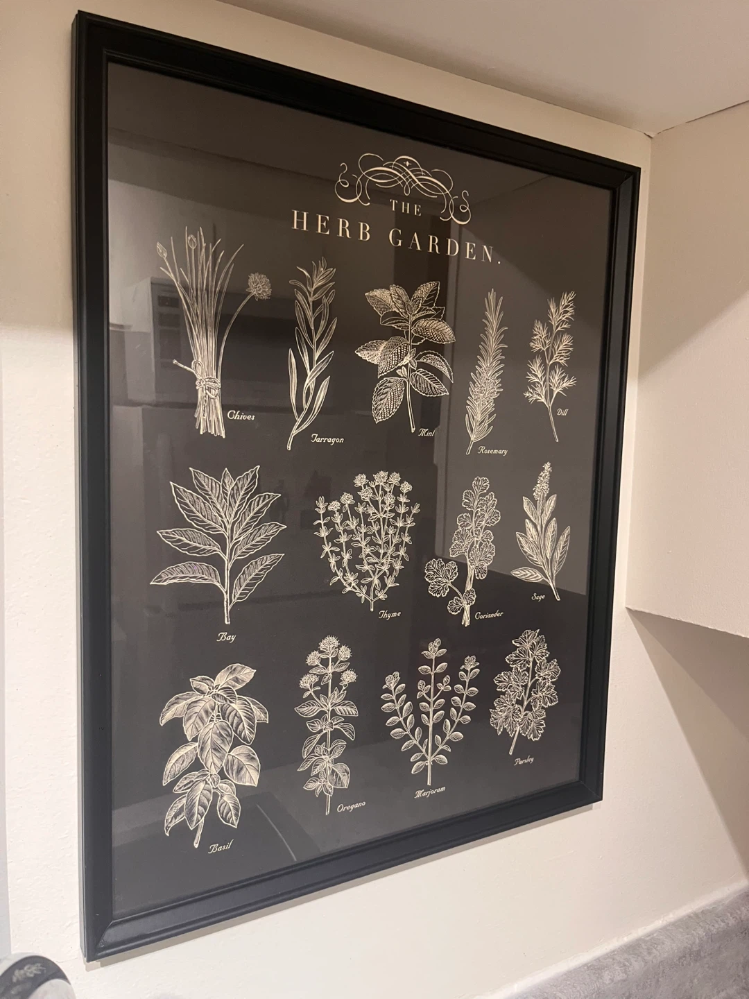 Framed Vegetable & Herb Garden Prints - photo 3