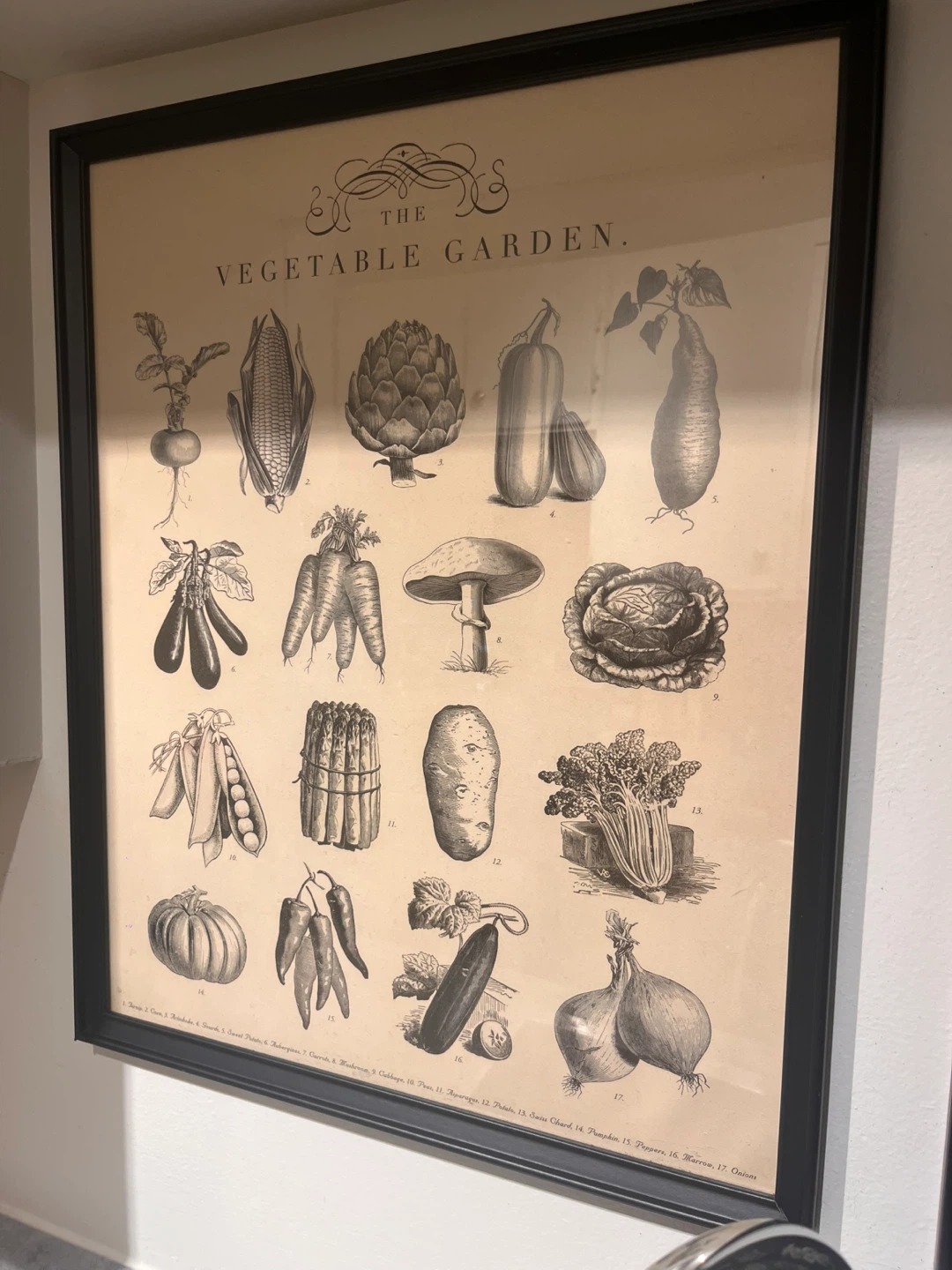 Framed Vegetable & Herb Garden Prints - photo 2