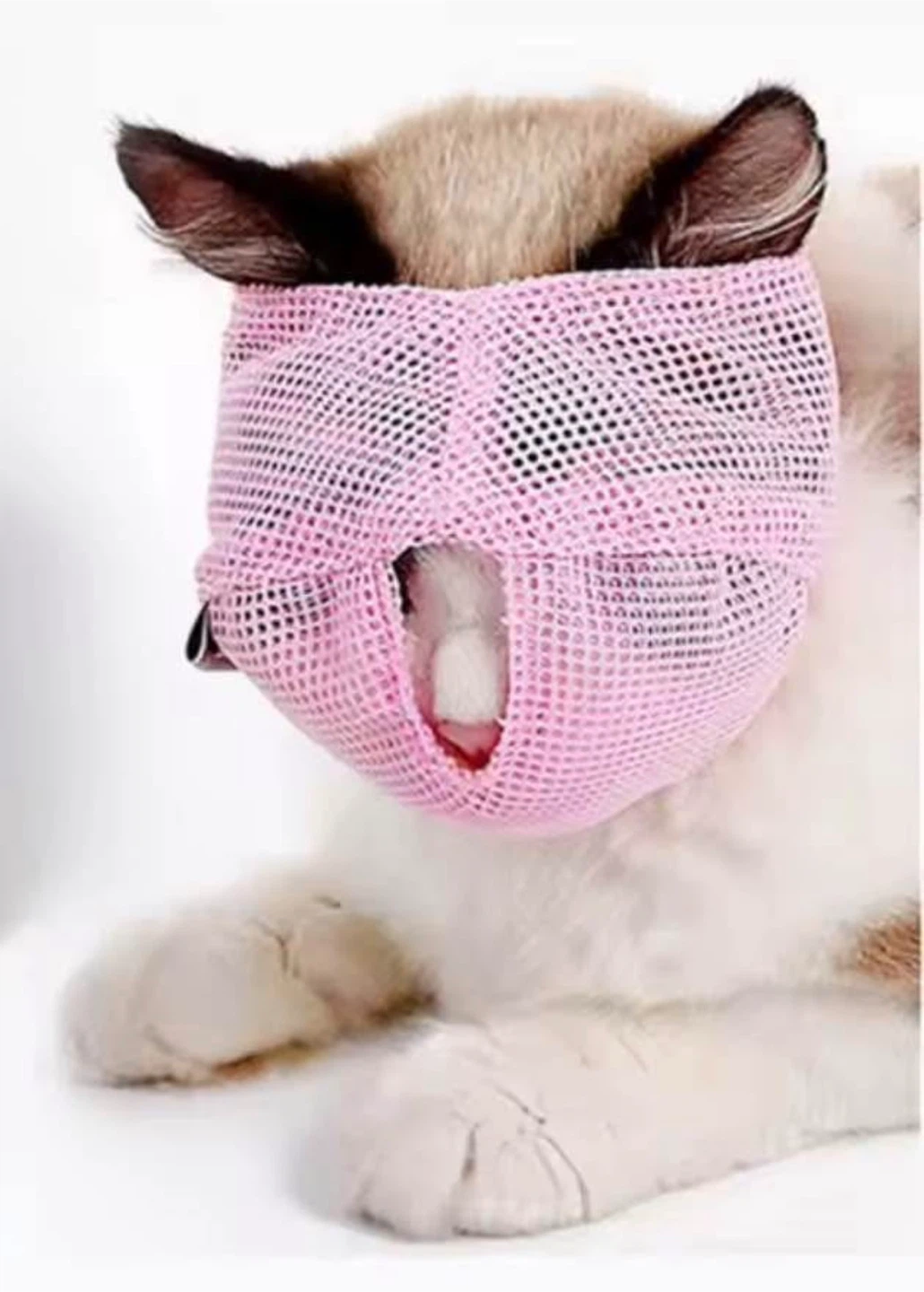 Pet Grooming Set (Paw Protectors & Muzzle) - photo 3