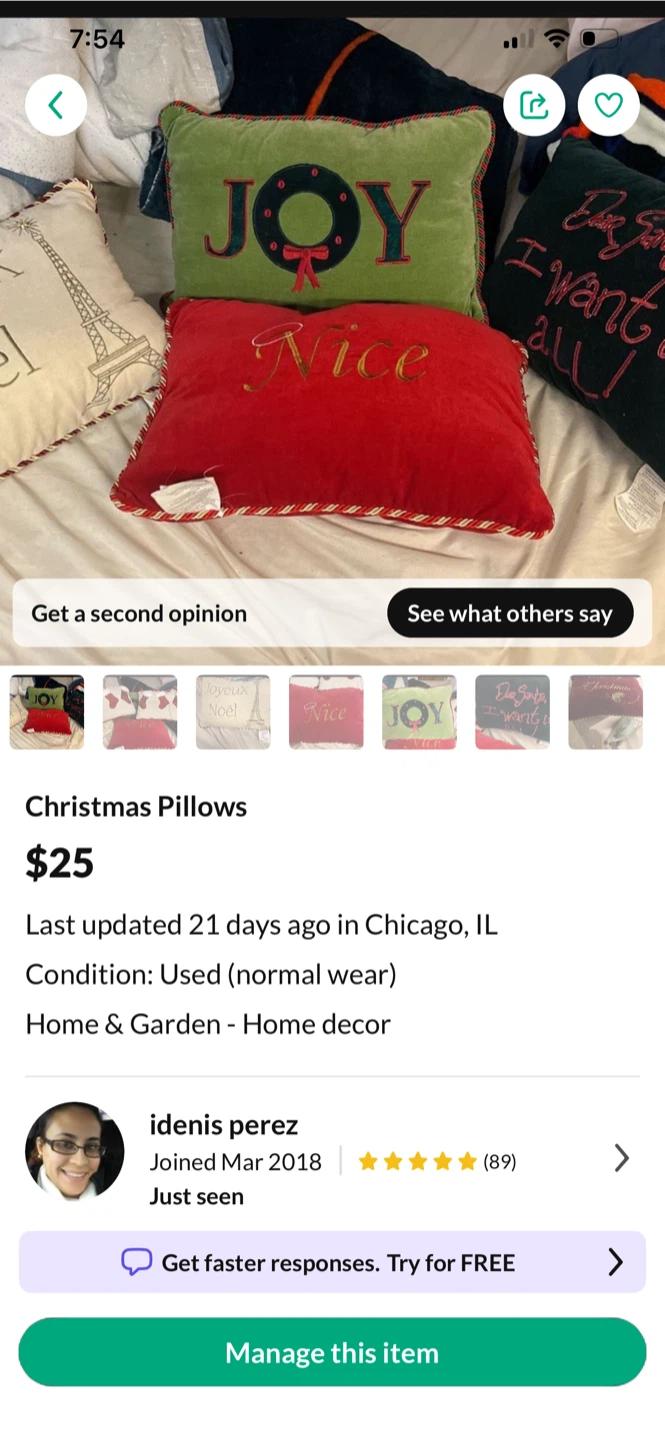 Christmas Decorative Pillows