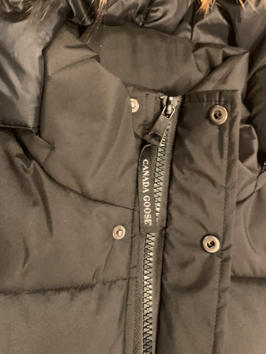 Canada Goose Black Padded Jacket - photo 3