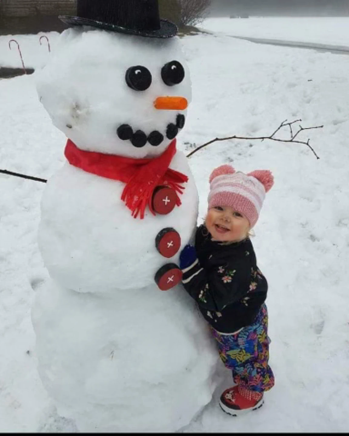 DIY Snowman Kit - photo 2
