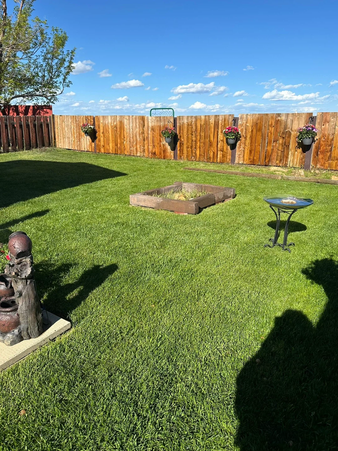 3 bedroom single house + yard for rent - photo 4