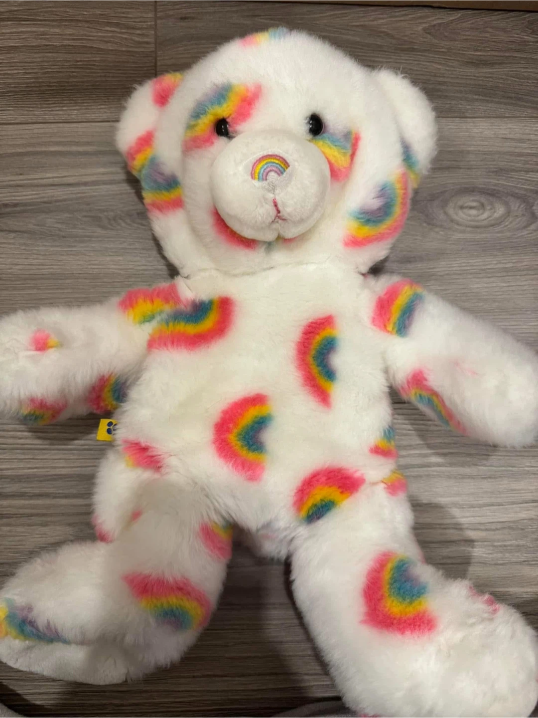 Build a Bear Rainbow Bear