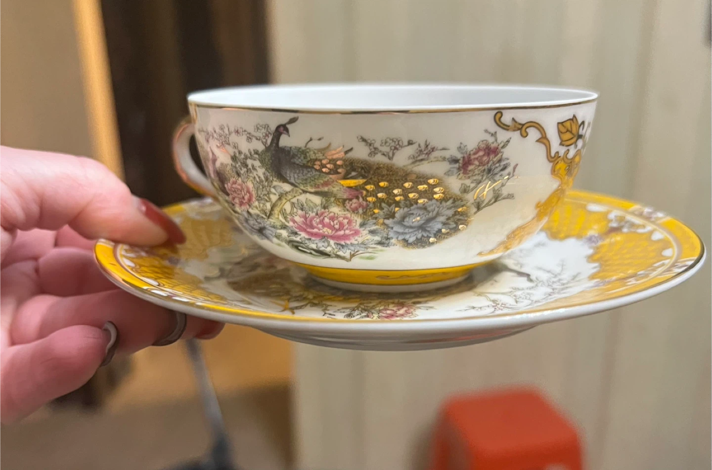 Fine Porcelain 6 Teacup and Saucer Set